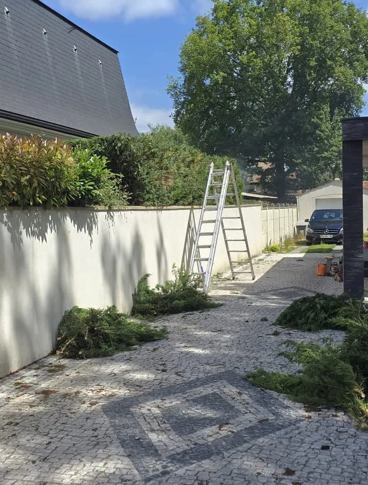 Aménagement de jardin avec pose de gazon et bordures