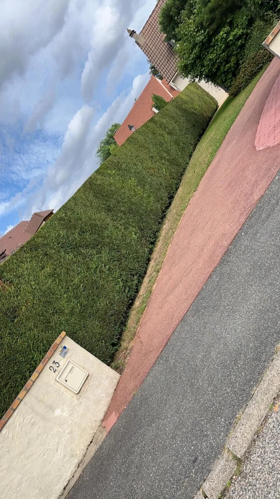 Haies taillées et entretenues